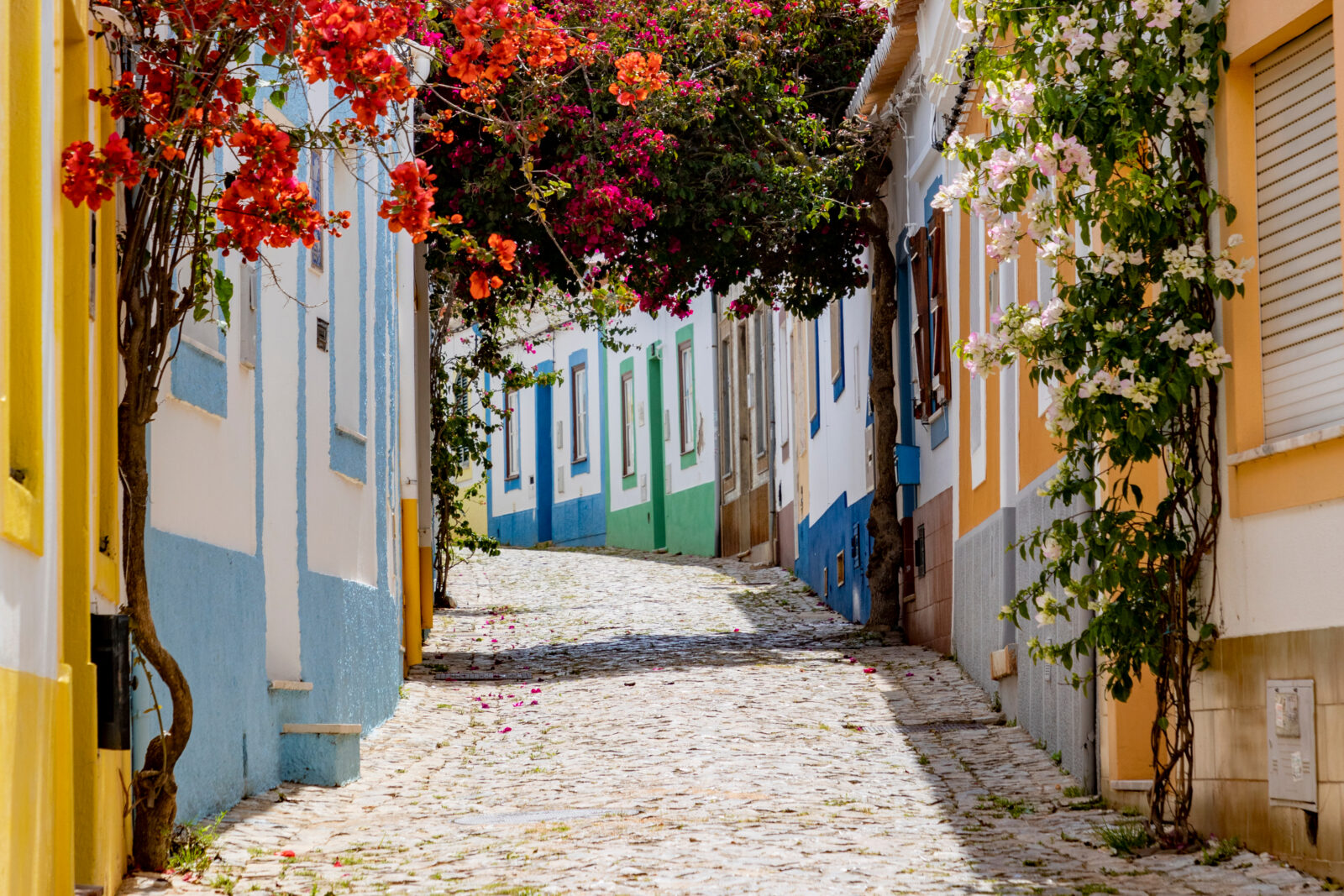 Portugal cobbled streets colourful houses and flowers