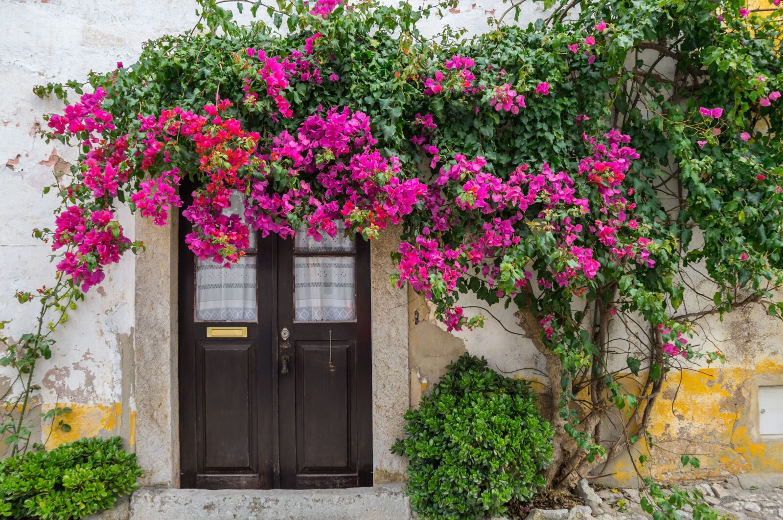 Brown rustic door with pink flowers